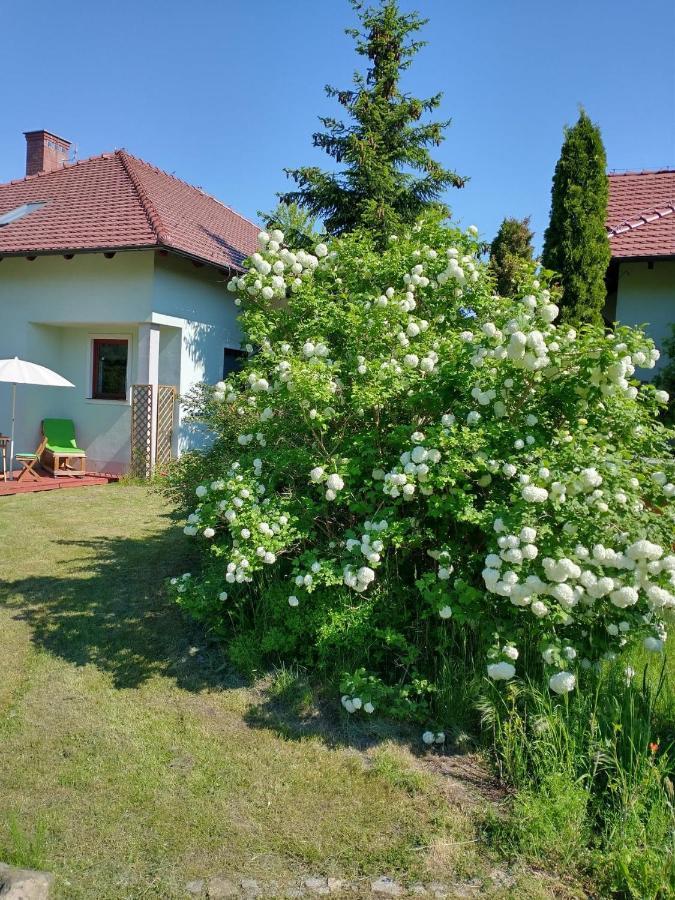 Apartamenty Zielona Góra Exterior foto