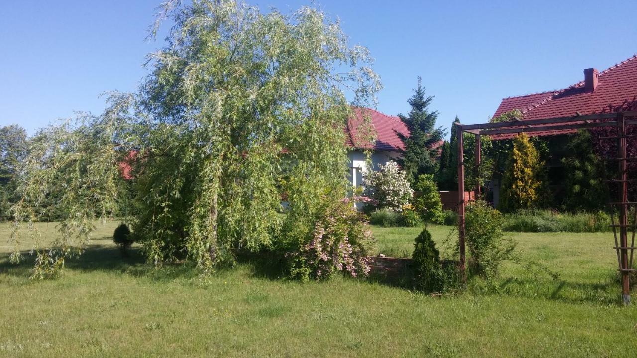 Apartamenty Zielona Góra Exterior foto